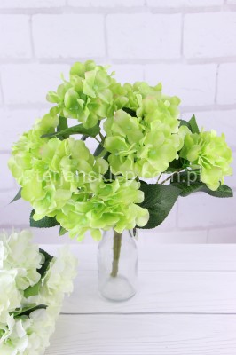 Bukiet hortensji CV06213 zielony #2