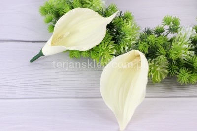 Calla wyrobowa CT53 (mniejsza) 24 szt cream/lemon #1