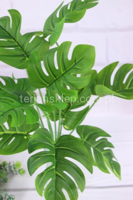 Bukiet liści MONSTERA CV18740