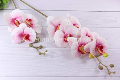 Storczyk gumowany "2" CV14865 pink #3