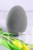 7259.JPG