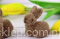 7292.JPG