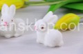 7297.JPG