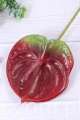 7483.JPG