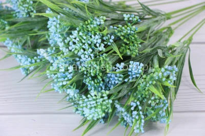 Chlorofitum gał. ERA1020 (12 szt) lt blue