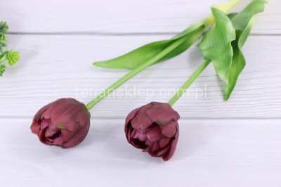 Tulipan silikonowy CK27  purple