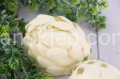 4730.JPG