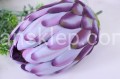 8107.JPG