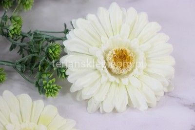 Gerbera wyrobowa SAT CB19 B (12 szt) krem