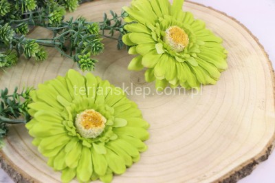 Gerbera wyrobowa SAT CB19 B (12 szt) zielony groszek
