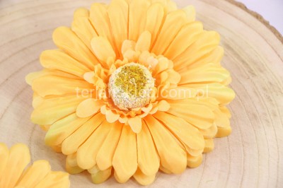 Gerbera wyrobowa SAT CB19 B (12 szt) stonowany żółty