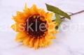 IMG_8548.JPG