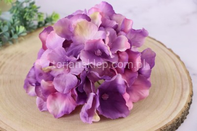 Hortensja wyrobowa SUN644 lavender #3100