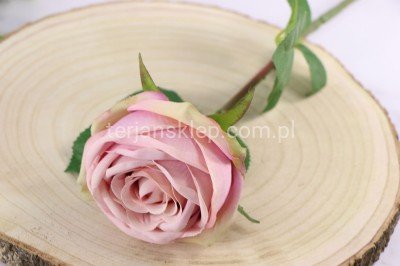 Róża gałązkowa 50 116 lt dr pink #4