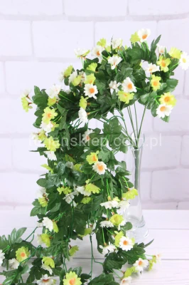 Bukiet rumianków ze zwisem XX002 krem/zieleń