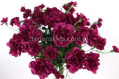 Bukiet goździków SUN495 dk beauty #mix 4