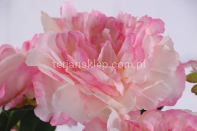 Bukiet peonie 50 125 j.róż