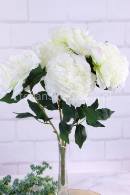 Bukiet peonie 50 125 krem