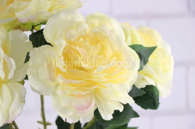Bukiet peonie 50 125 lemon
