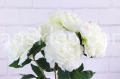 8805.JPG