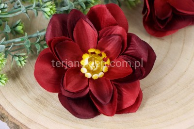Dalia wyrobowa / nenufar L056 (12 szt) red black
