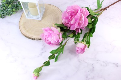 Peonia SUN117 candy pink #3082 / ass#13