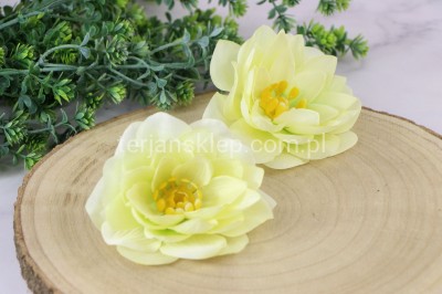 Dalia wyrobowa / nenufar L056 (12 szt) white green S102