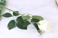 8932.JPG