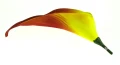 890ec3d4d4c4ee4f436a6f5e7bbdb4250d92b790