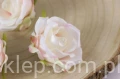 8791.JPG