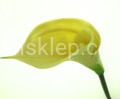 53156d13eed062c0b3f912b8ebbac10ac17b4f79