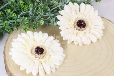 Gerbera wyrobowa SAT CB18 (12 szt) ecru