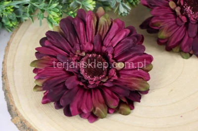 Gerbera wyrobowa SAT CB18 (12 szt) purple green