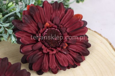 Gerbera wyrobowa SAT CB18 (12 szt) wiśnia cieniowana