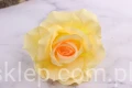 9493.JPG