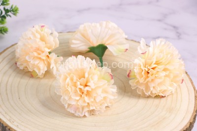 Goździk wyr. satynowy CA960 (20 szt) wanilia z akcentami #3