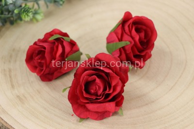 Róża mercedeska N CA813 (12 szt) red