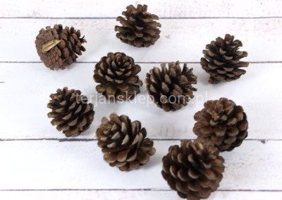 Szyszki sosnowe (24 szt) naturalne (1015)