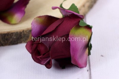 Róża F036 (12 szt) aut purple