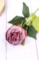 10353.JPG