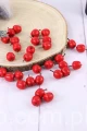 10495.JPG