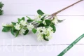 10713.JPG