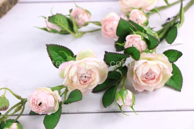 Gałąź dzikiej róży SUN663 delicate apricot #3063