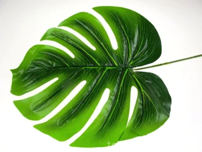 Liść Monstera gumowana duża RX058 (12 szt)