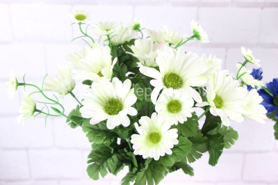 Bukiet rumianków SUN604 #2 / #4 white green z akcent.