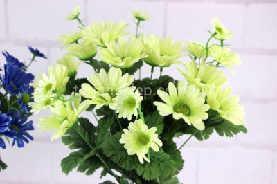 Bukiet rumianków SUN604 #2/#4 lt green