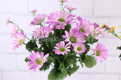 Bukiet rumianków SUN604 #2 pink