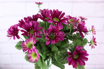 Bukiet rumianków SUN604 #2 fuksja