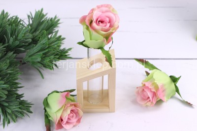 Róża NAOMI pąk SUN412 (24 szt) pink green #2129