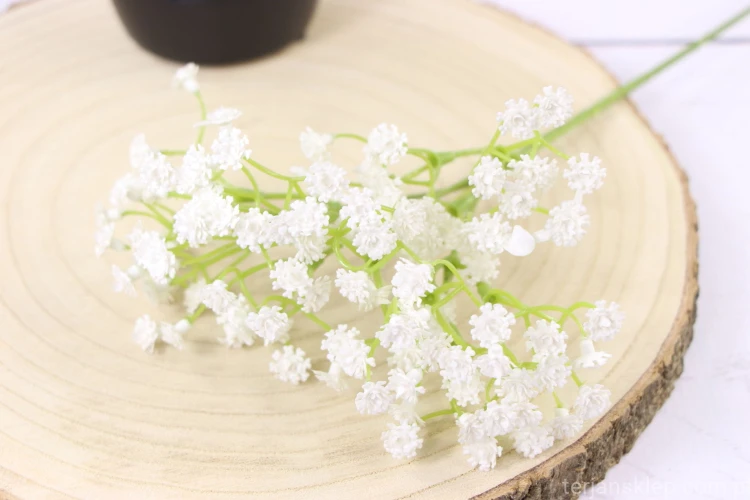 11594.JPG